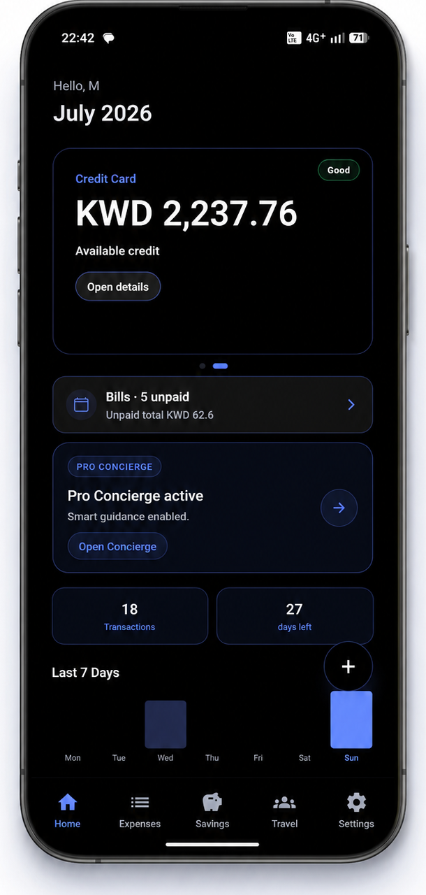 Budgetii credit card screen showing available credit